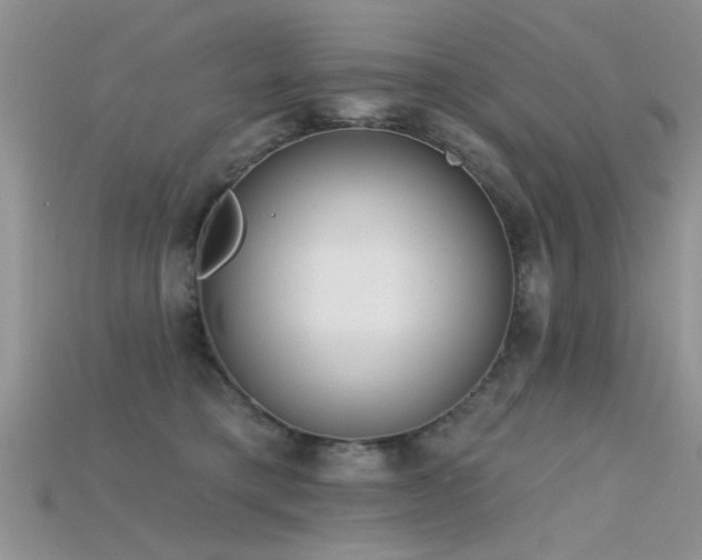 X0000115670421200911121157