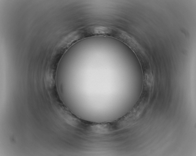 X0000115670422200911121157