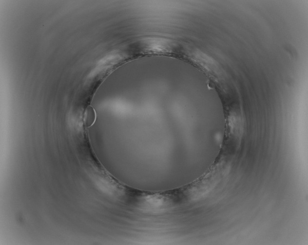 X0000115670423200911121157