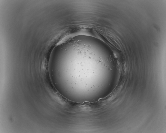 X0000115670424200911121157