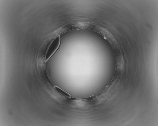 X0000115670425200911121157