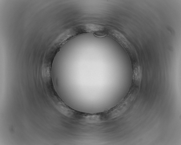 X0000115670426200911121157