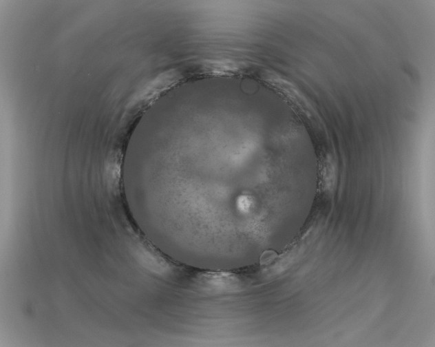 X0000115670427200911121157