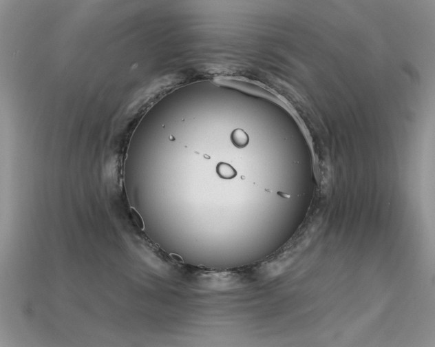 X0000115670428200911121157