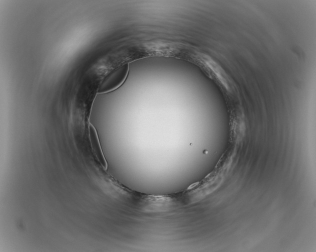 X0000115670429200911121157