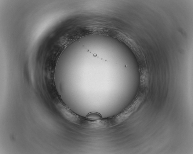 X0000115670430200911121157