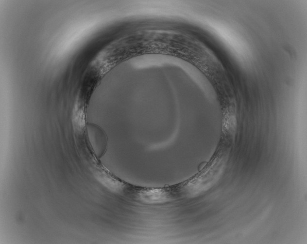 X0000115670431200911121157