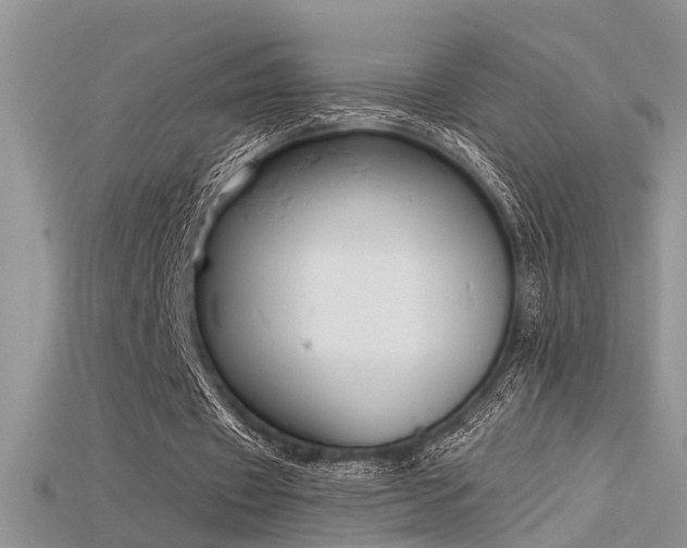 X0000115670433200911121156