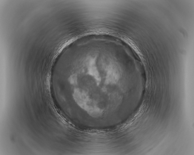 X0000115670434200911121156
