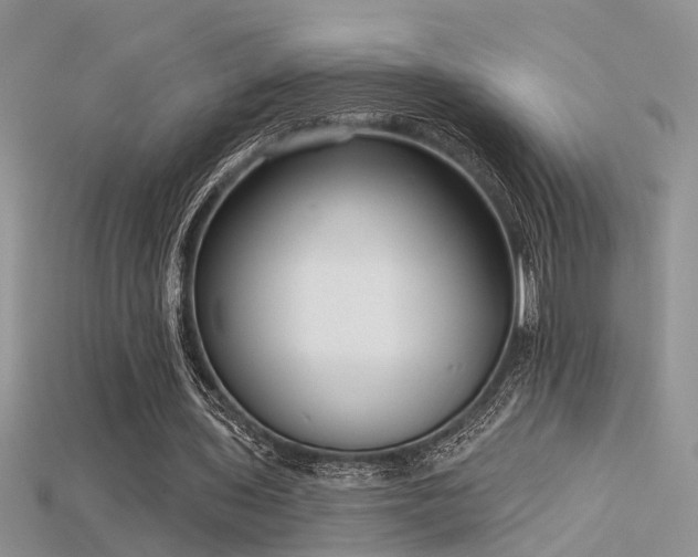 X0000115670435200911121156
