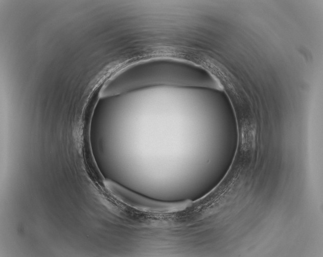 X0000115670436200911121156