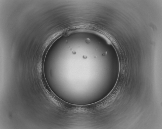 X0000115670437200911121156