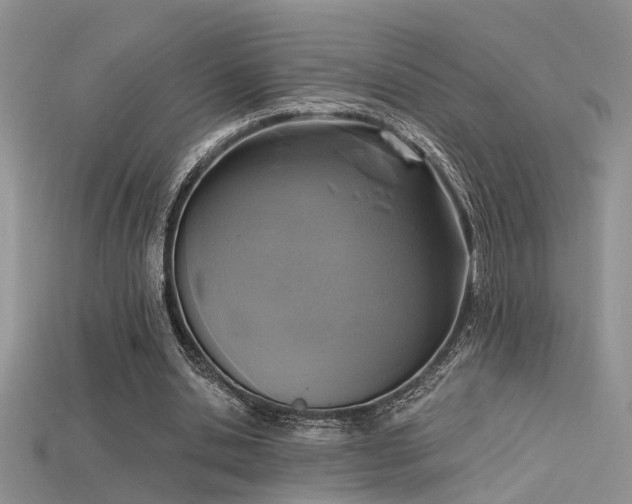 X0000115670438200911121156