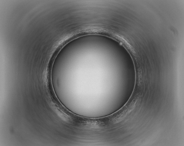 X0000115670439200911121156