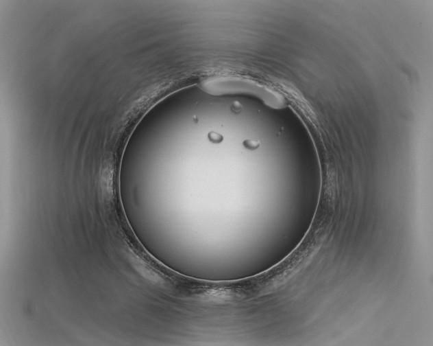 X0000115670441200911121156