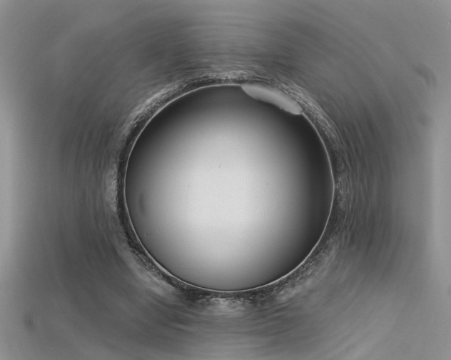 X0000115670442200911121156