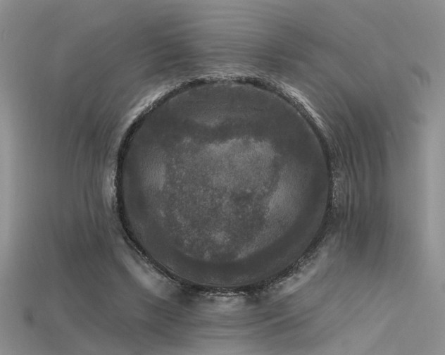 X0000115670443200911121156