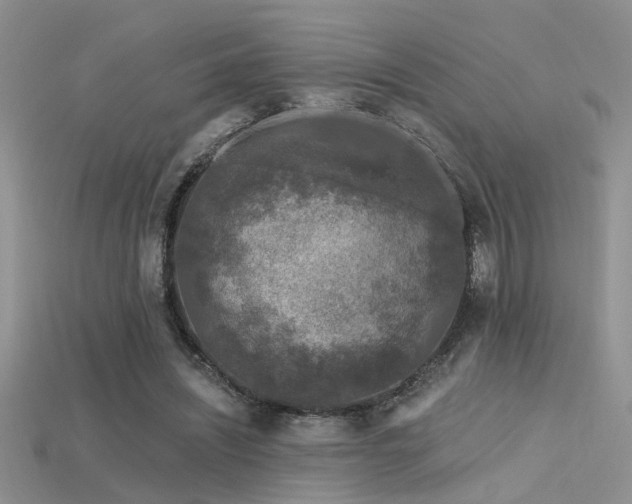 X0000115670444200911121156
