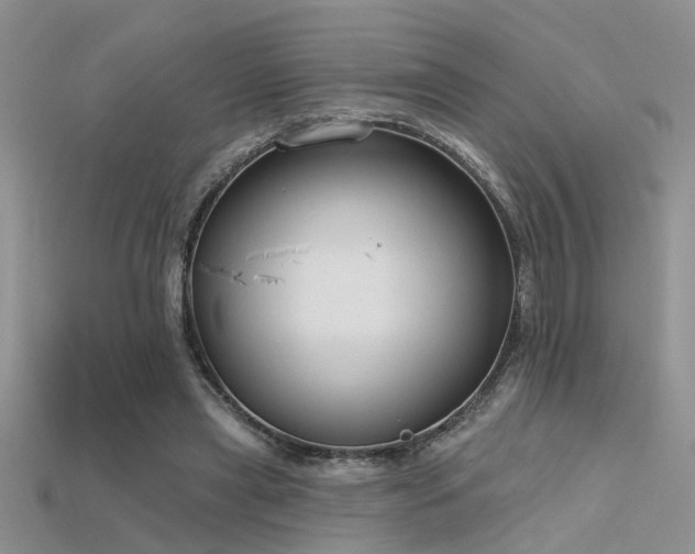 X0000115670445200911121156