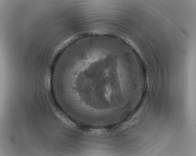 X0000115670446200911121156