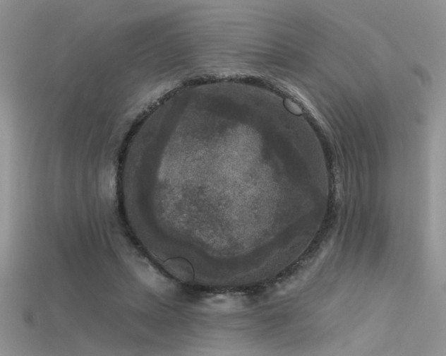 X0000115670447200911121156