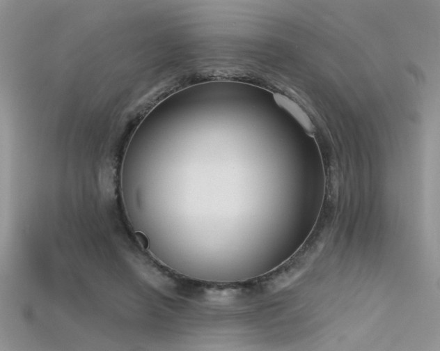X0000115670450200911121156