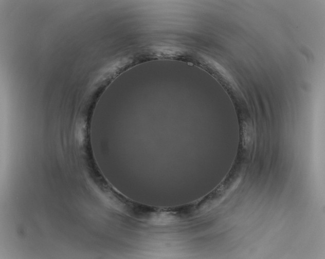 X0000115670451200911121156