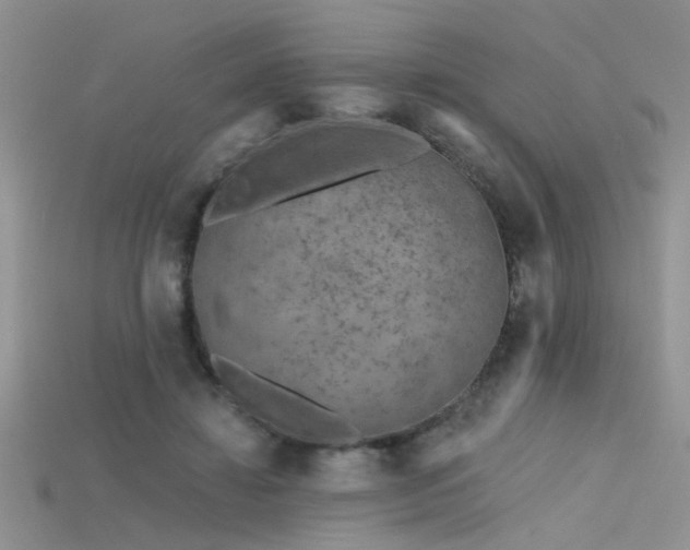 X0000115670452200911121156