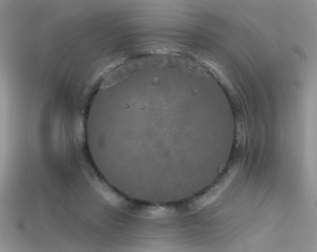 X0000115670453200911121156
