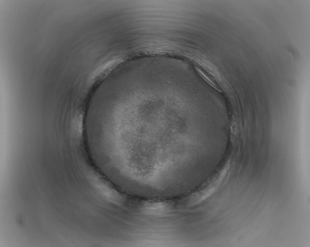 X0000115670454200911121156