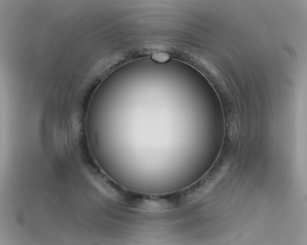 X0000115670455200911121156