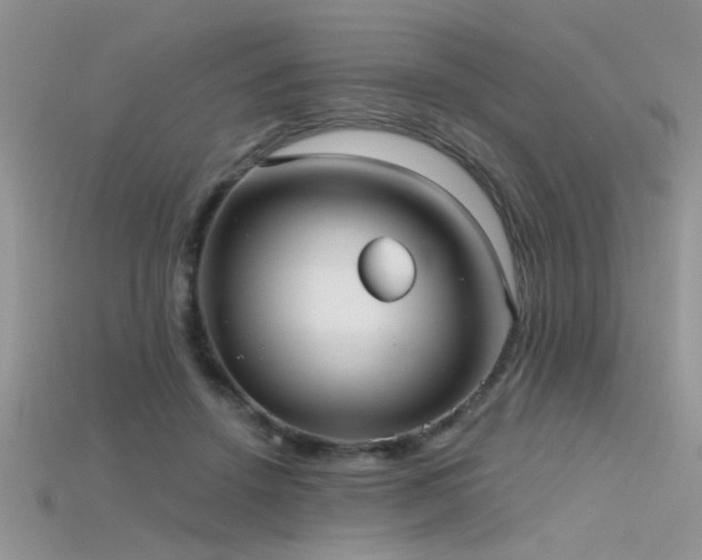 X0000115670456200911121156