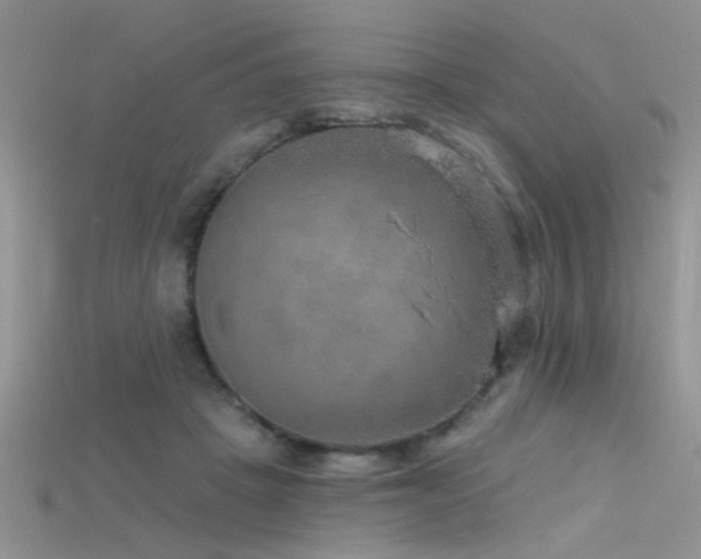 X0000115670457200911121156