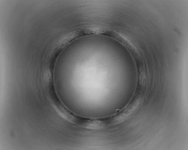 X0000115670459200911121156