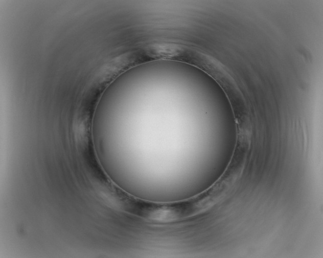 X0000115670460200911121156