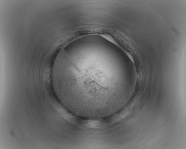 X0000115670462200911121156