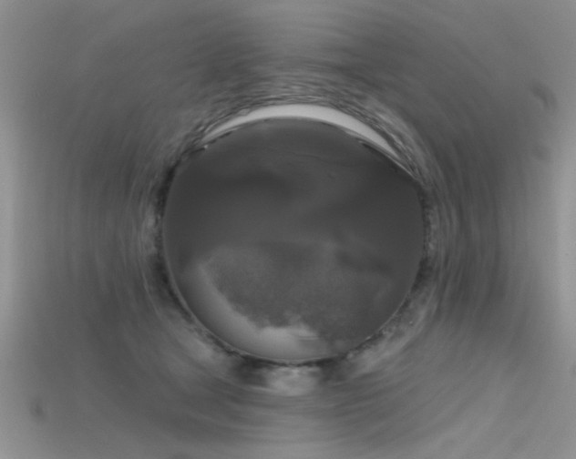 X0000115670465200911121156