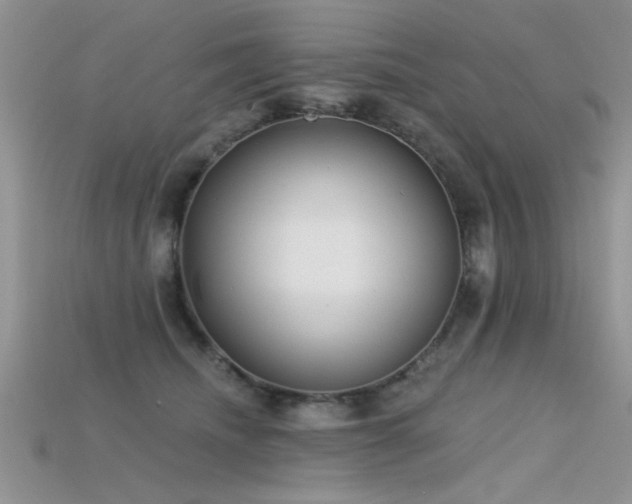 X0000115670468200911121156