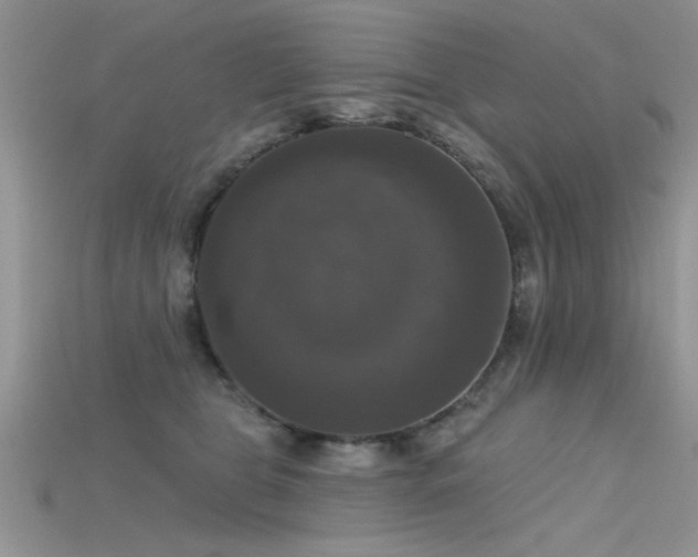X0000115670469200911121156