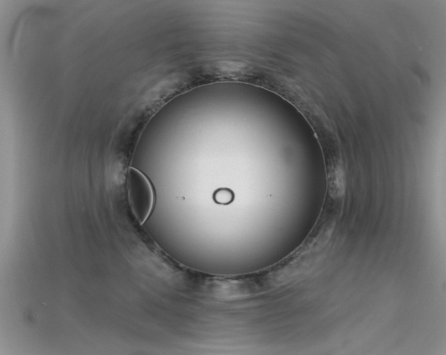 X0000115670472200911121157
