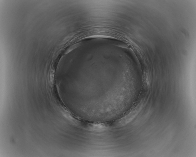 X0000115670475200911121157