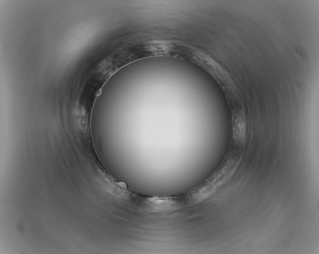 X0000115670477200911121157