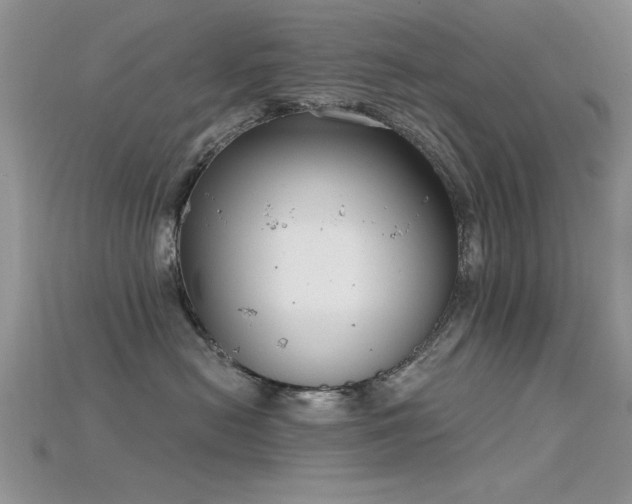 X0000115670478200911121157