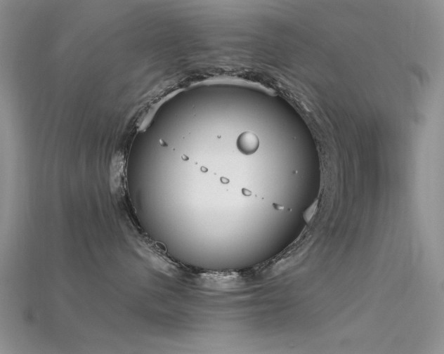 X0000115670480200911121157