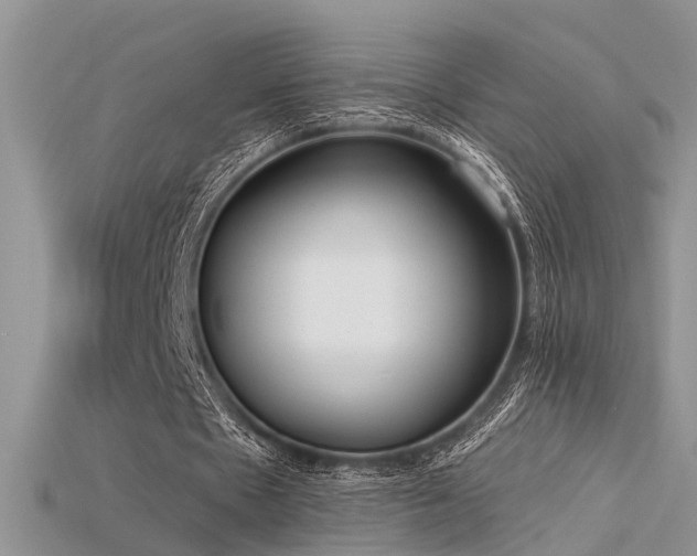 X0000115670481200911121156
