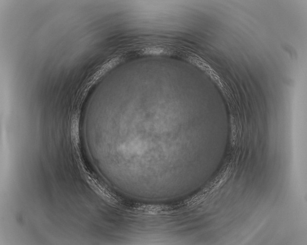 X0000115670482200911121156