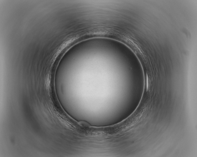 X0000115670483200911121156