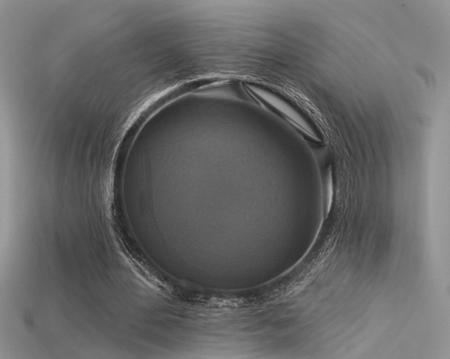 X0000115670484200911121156