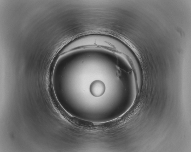 X0000115670485200911121156