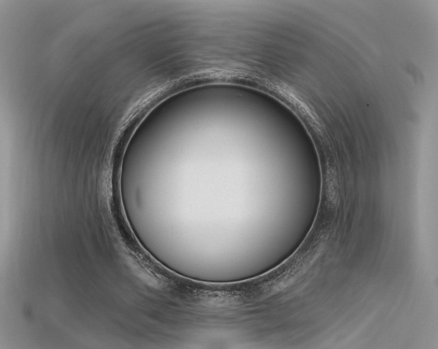 X0000115670486200911121156